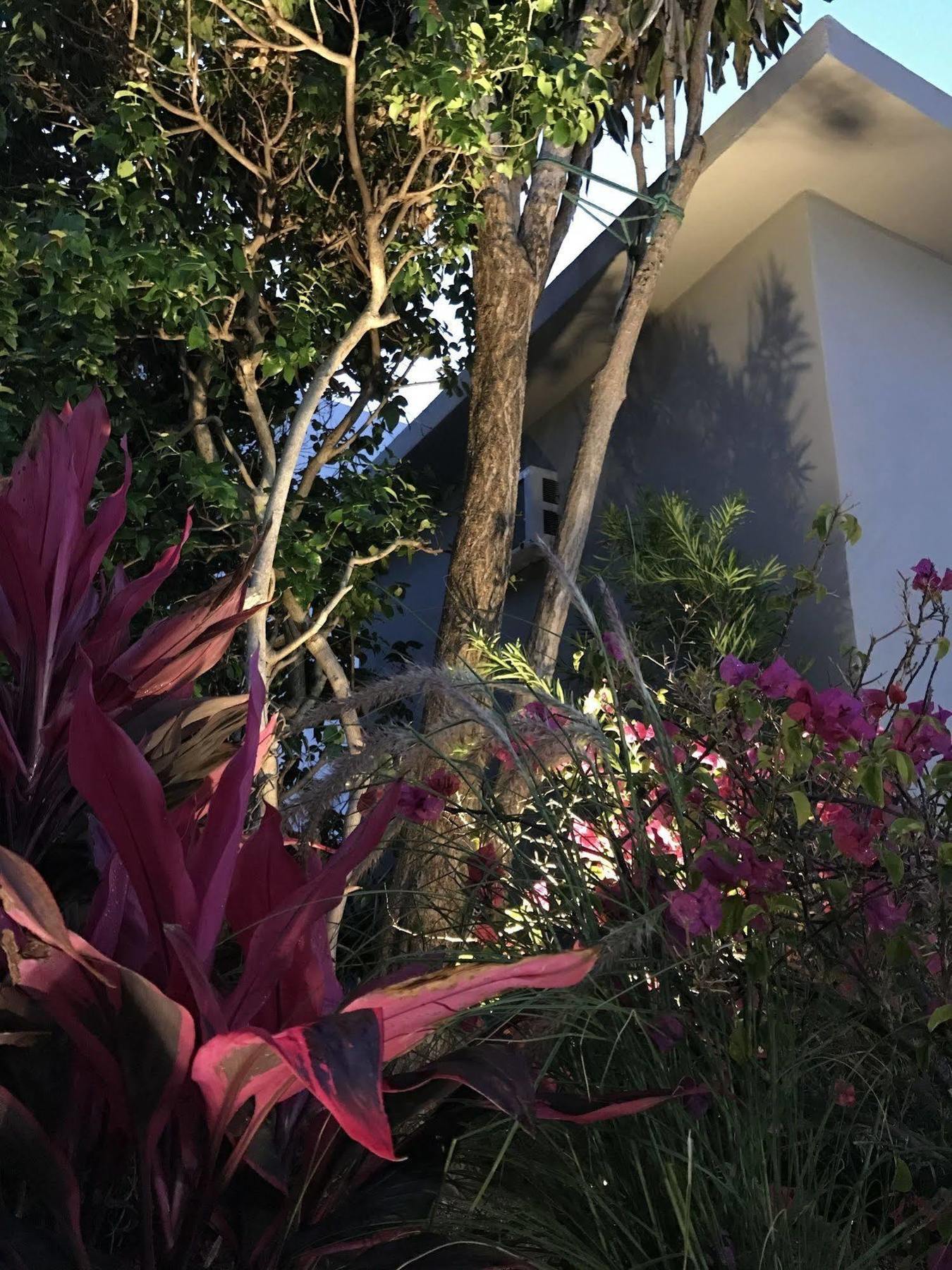 Luxury Miami By Michigan Apartment
