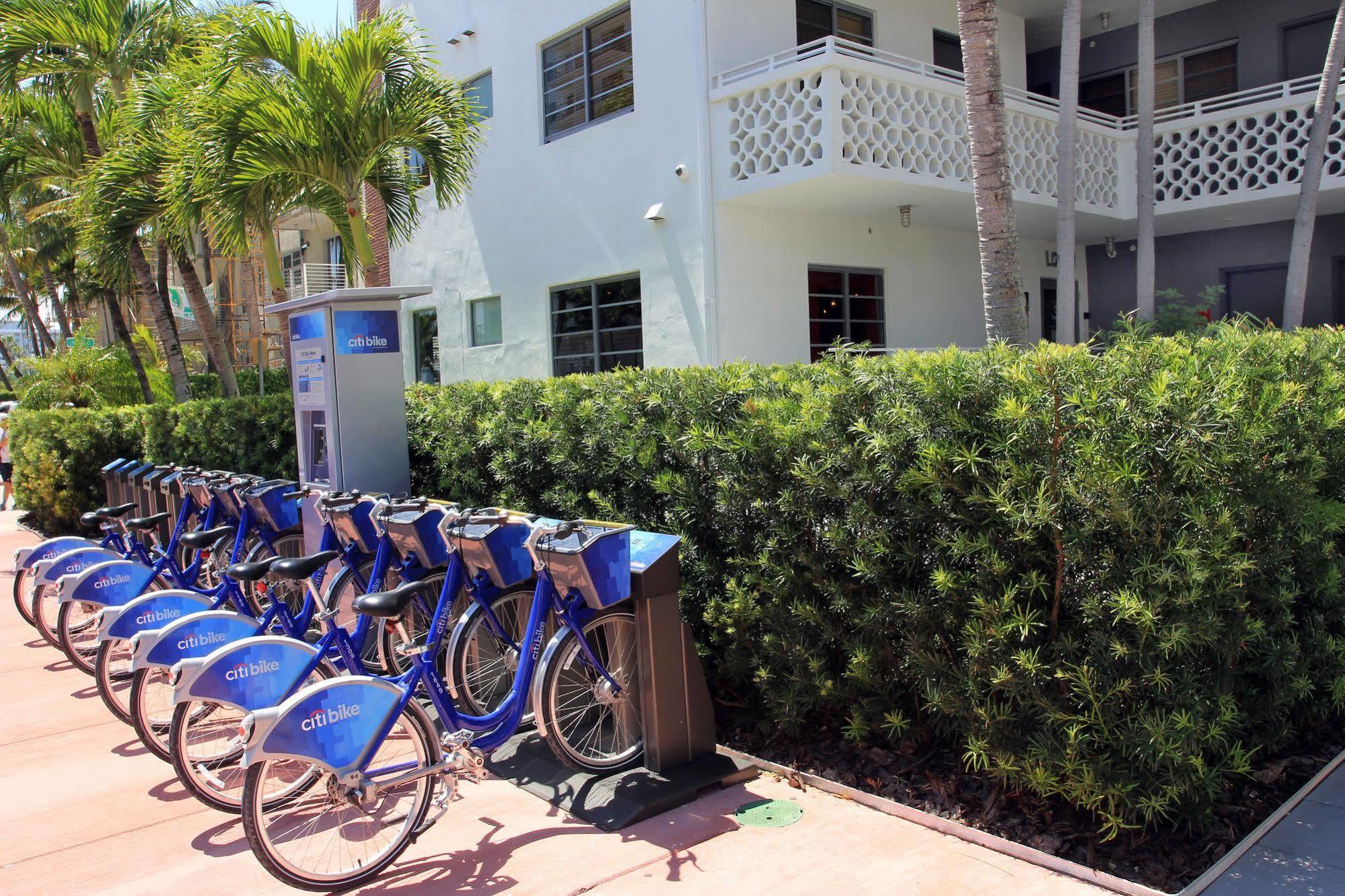 Hotel Gaythering - Gay - Adults Welcome Miami Beach