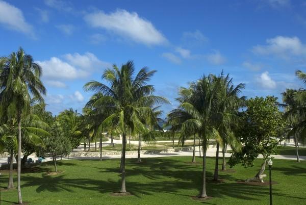 The Fritz Miami Beach