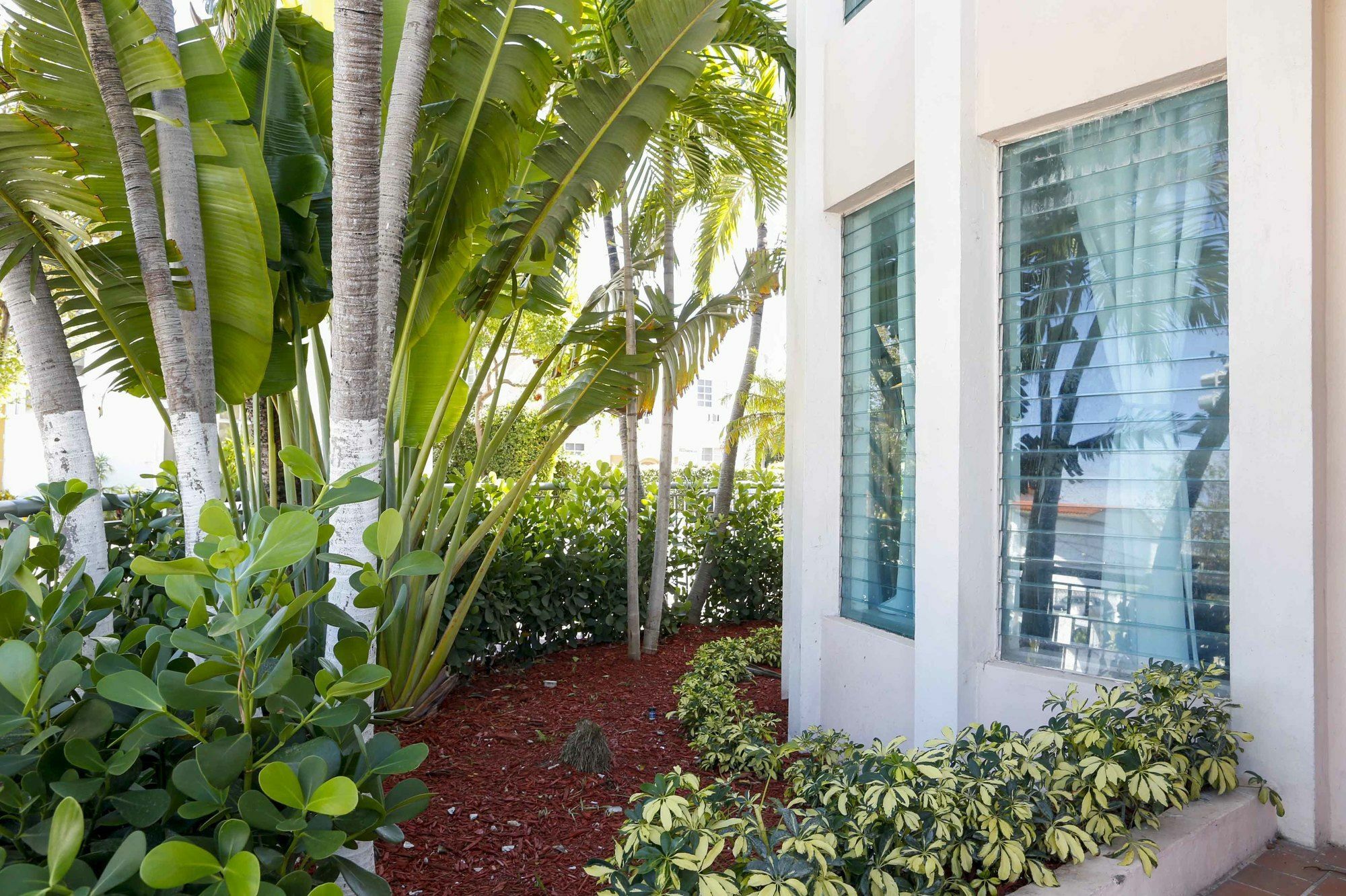 Apartment Harding Miami Miami Beach