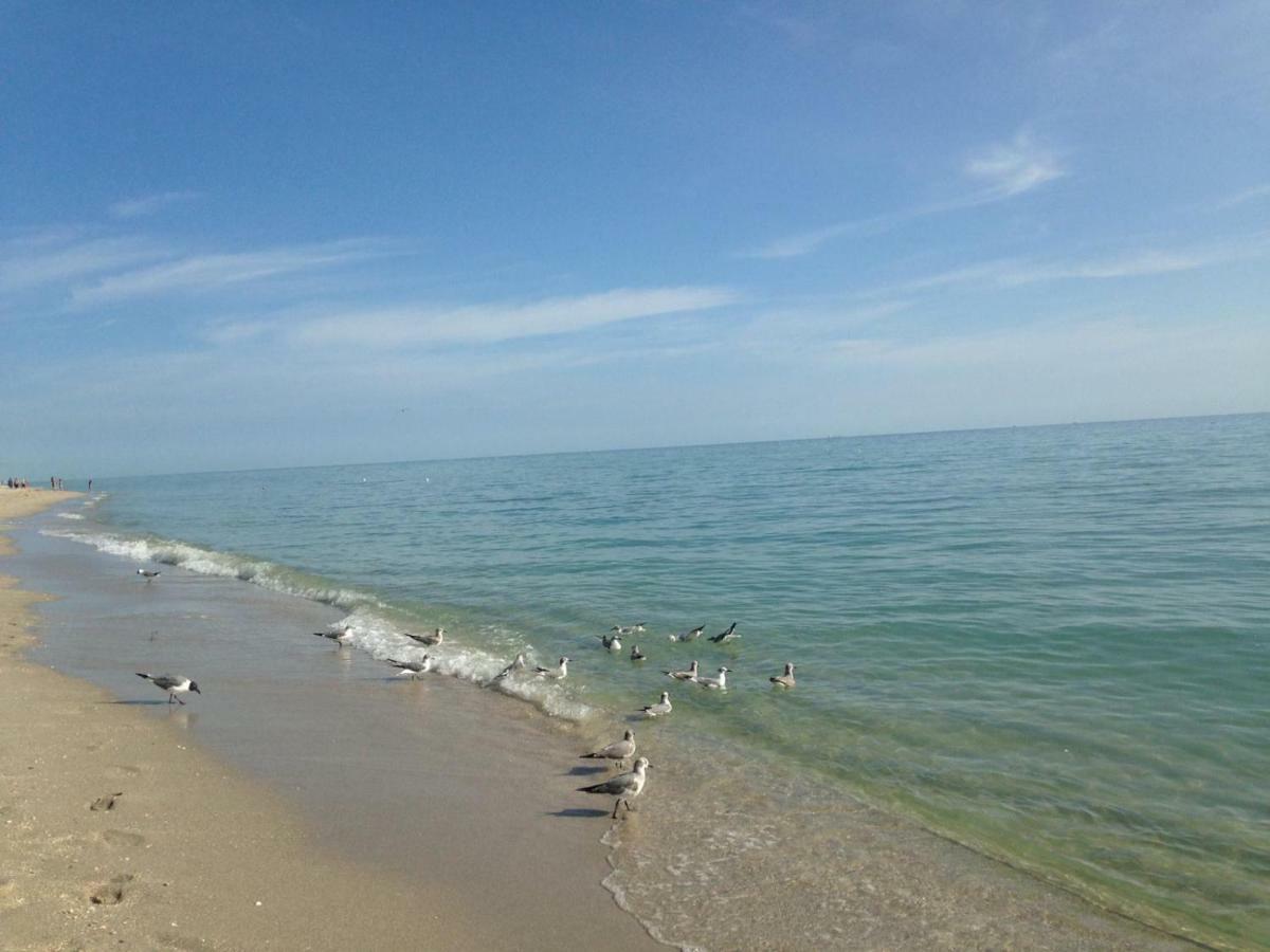 King David Dream * Miami Beach