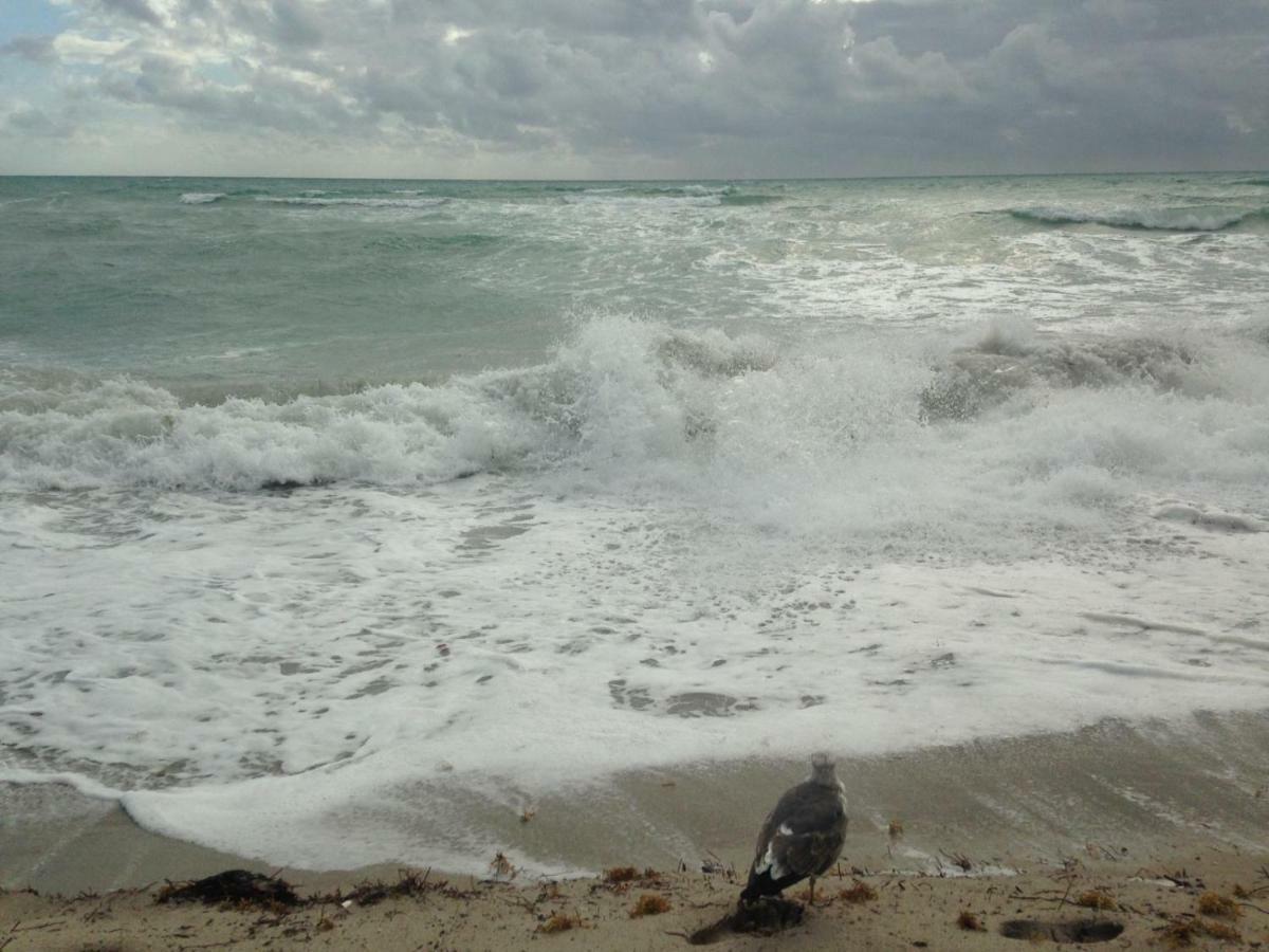Apartment King David Dream Miami Beach