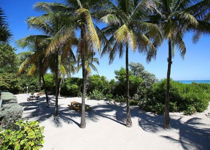 On The Beach For 6 Peoples With Balcony Miami Beach