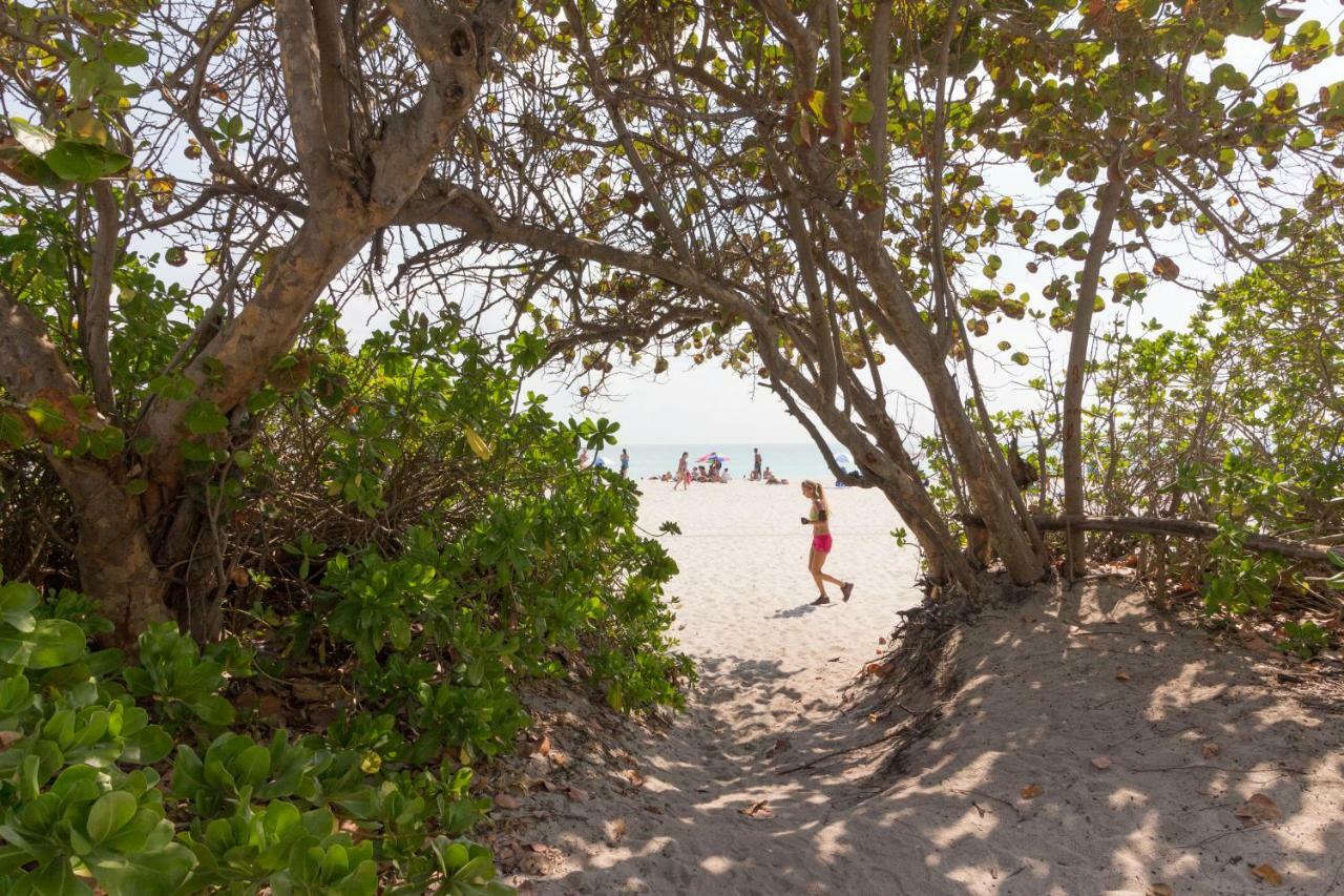 Castle Beach: Coral