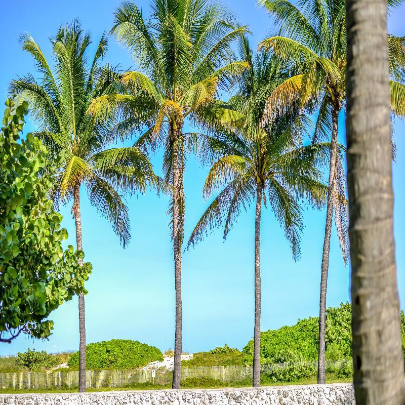 Hilton Vacation Club Crescent On South Miami Hotel 3*