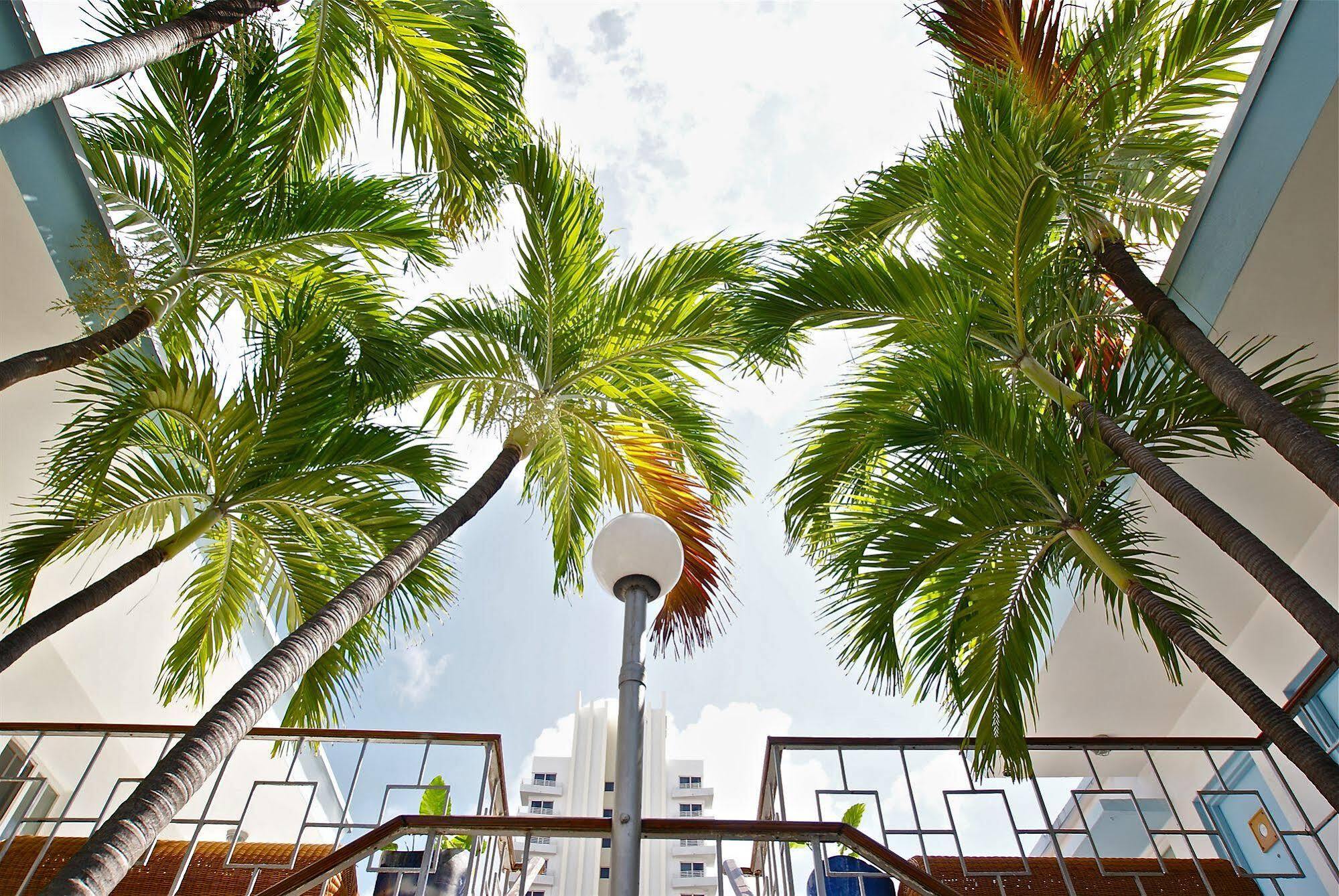 Aqua & Hotel Miami Beach