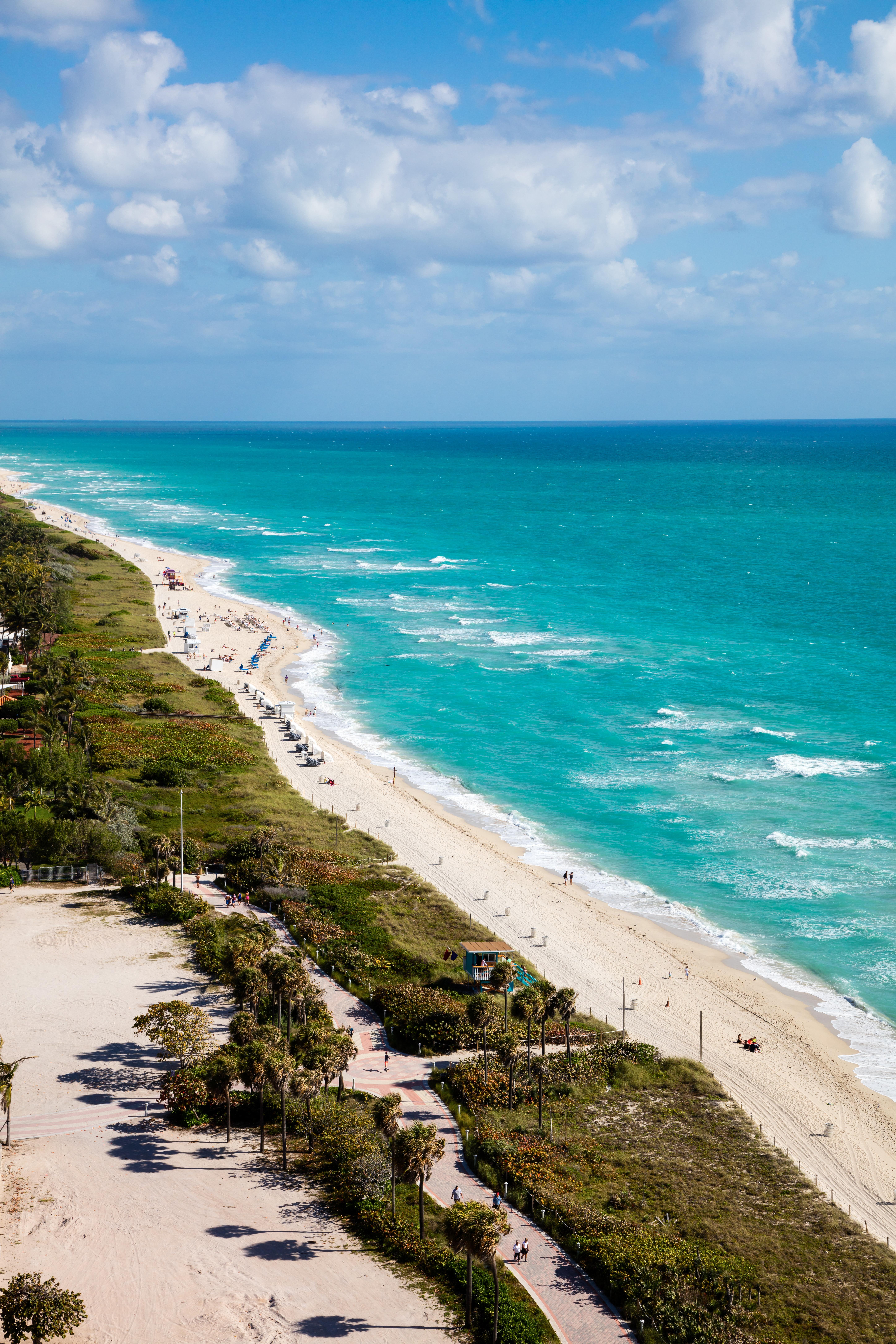 Resort Eden Roc Miami