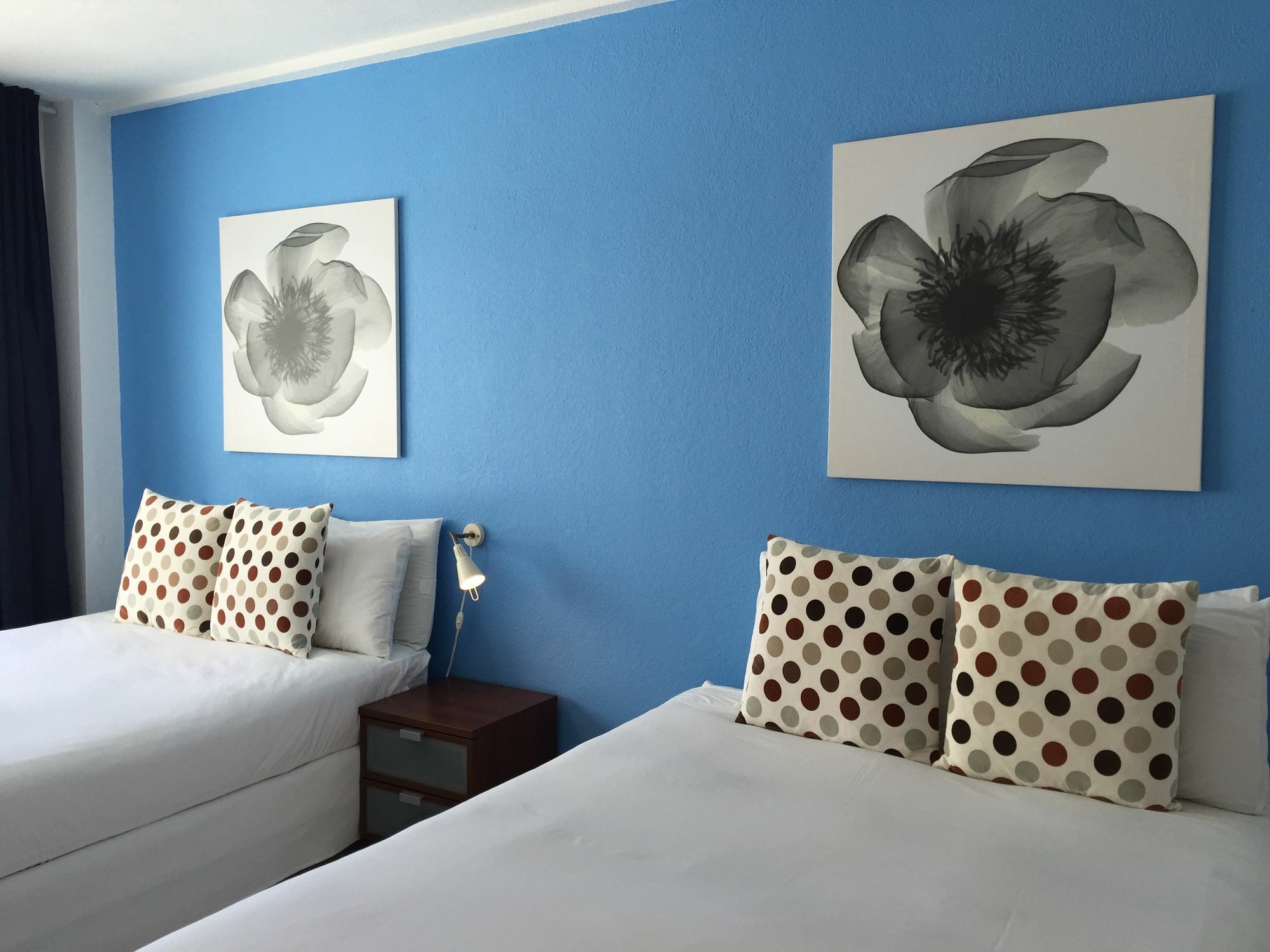 Hotel Casablanca By Design Miami