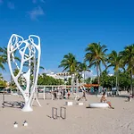 Sobe Winds