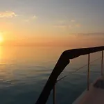 Boat Trip Adventure In Florida