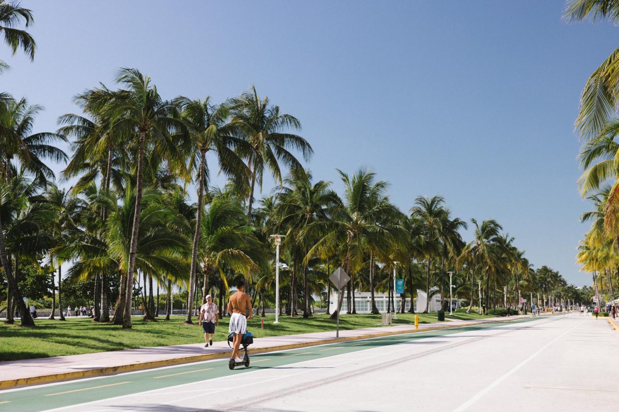 Hotel The Betsy Hotel, South Miami Beach