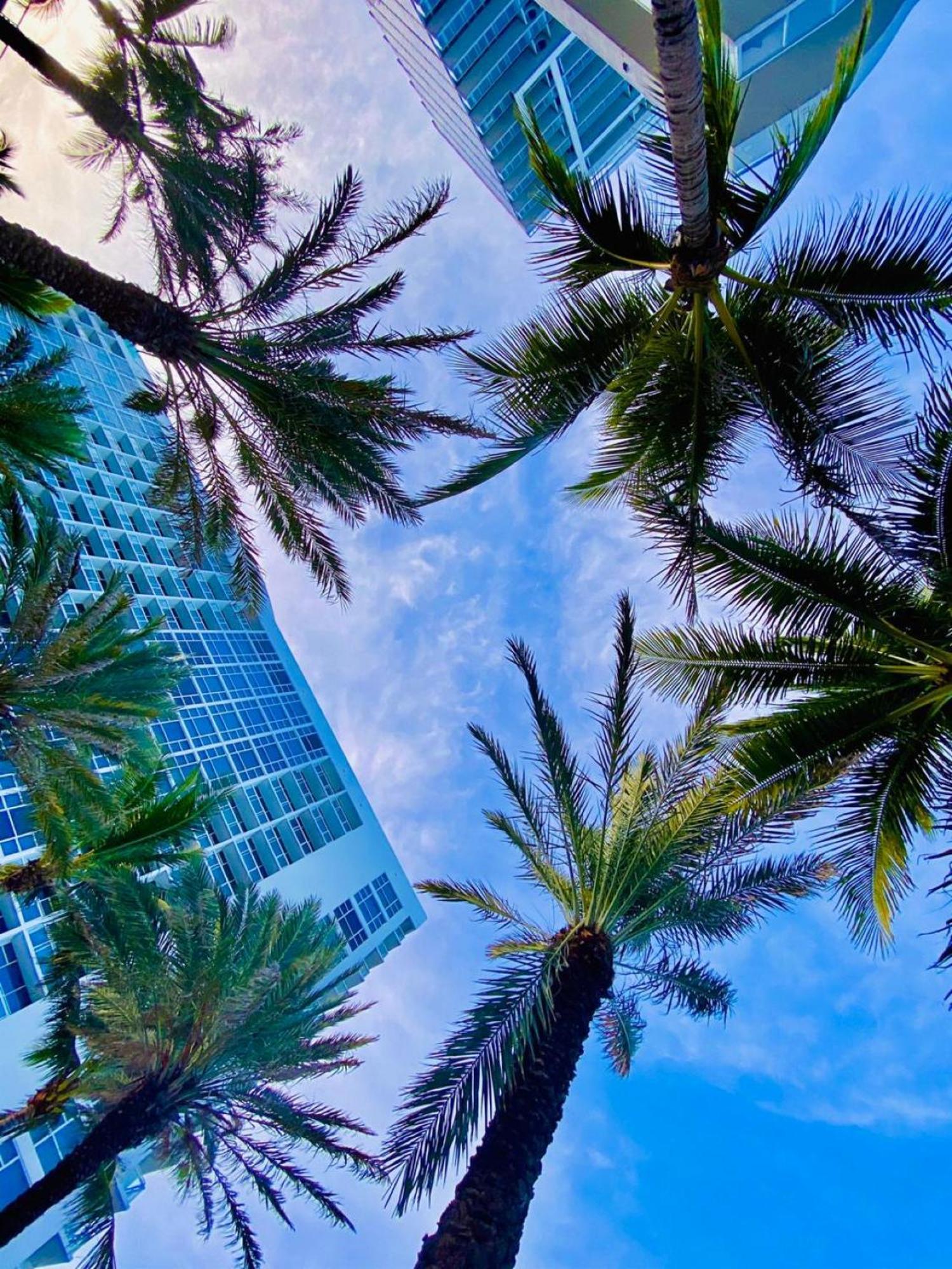 Hotel Carillon Miami Private Luxury Miami Beach