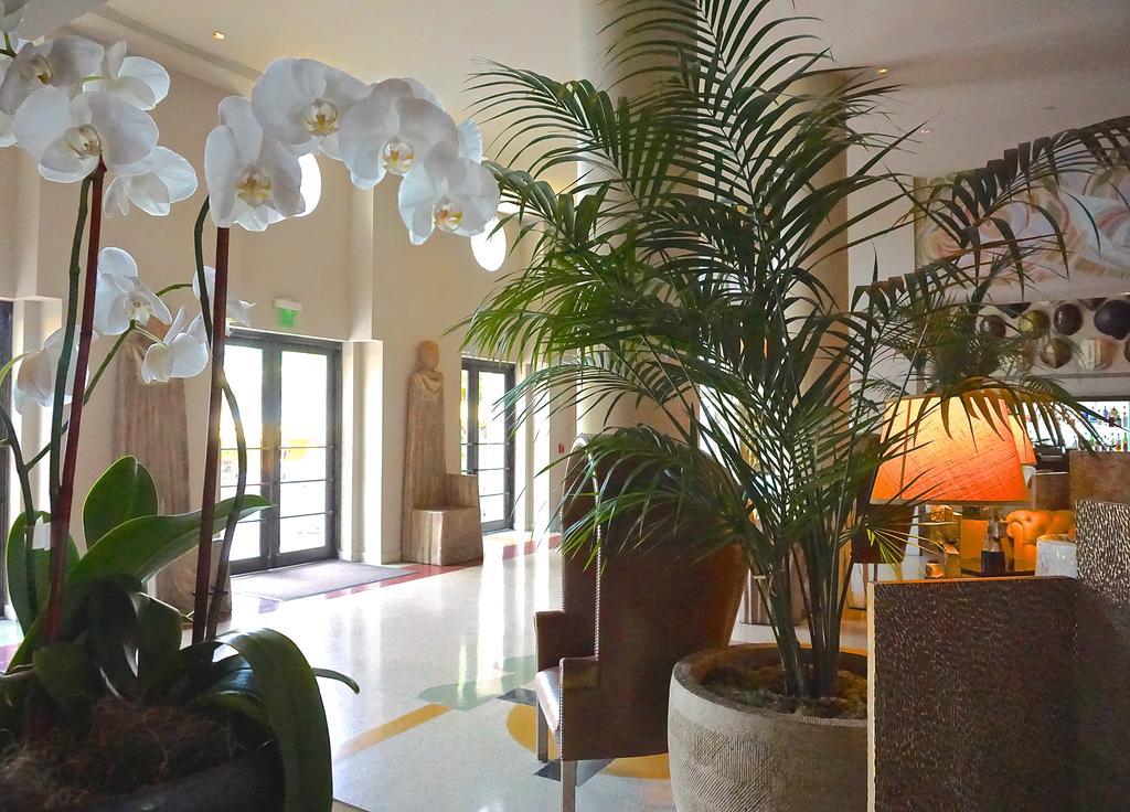 Tides South Resort 5*