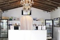 Bikini Hostel, Cafe & Beer Garden (adults Only) Hostel *