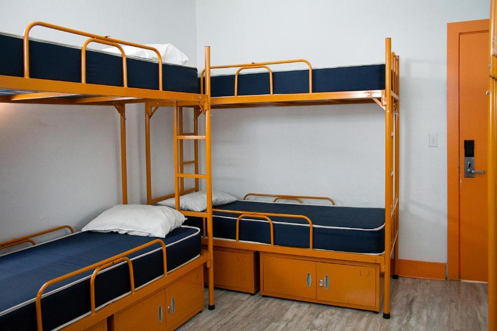 Onu *