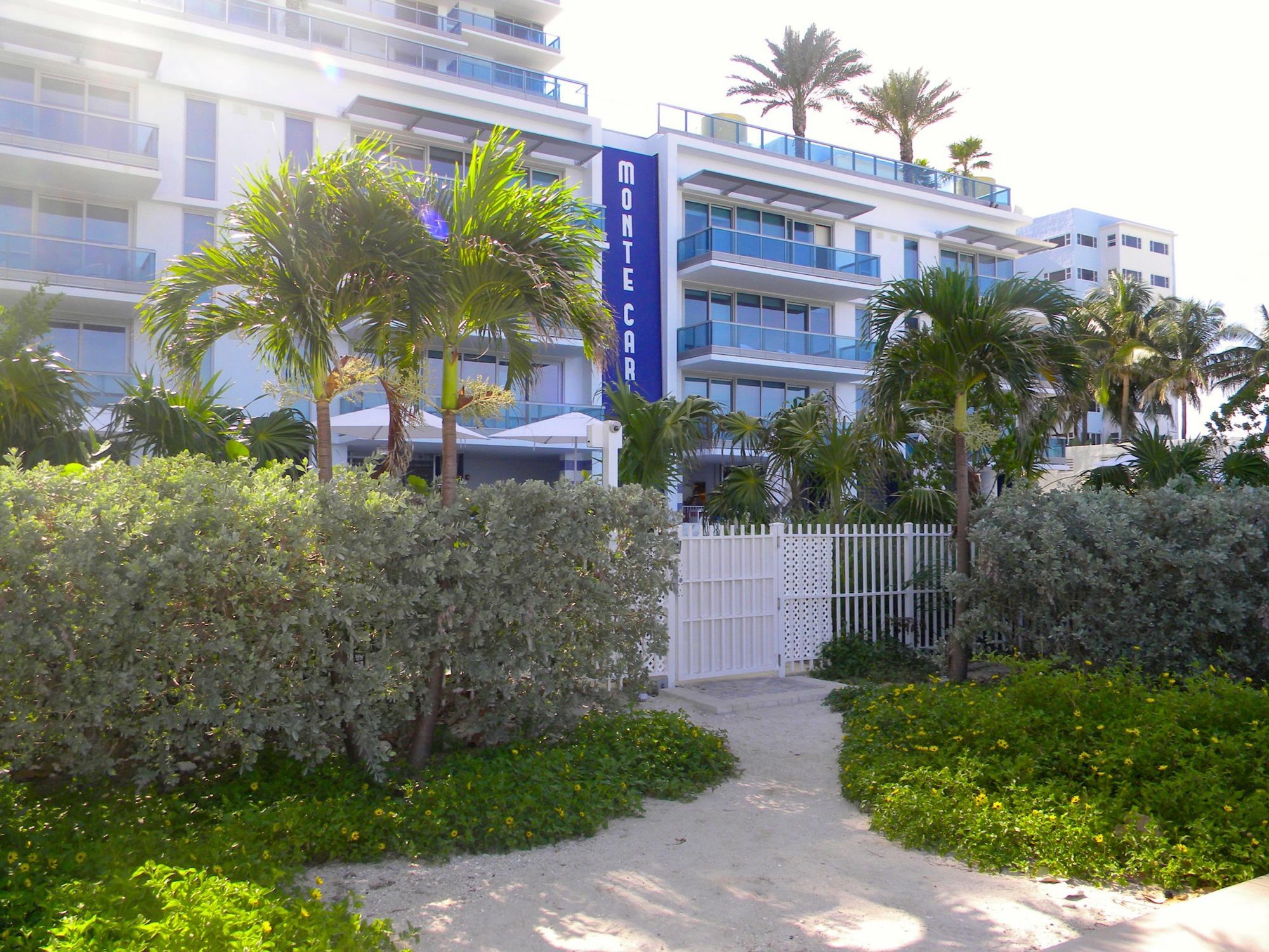 Life Miami At The Monte Carlo *
